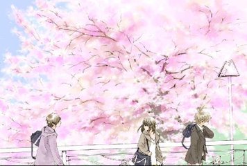 外国小蓝鸟